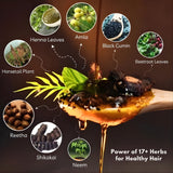 Revlé Organic Shampoo | Macadamia & Botanical Extracts for Silky, Smooth & Strong Hair - 400ml