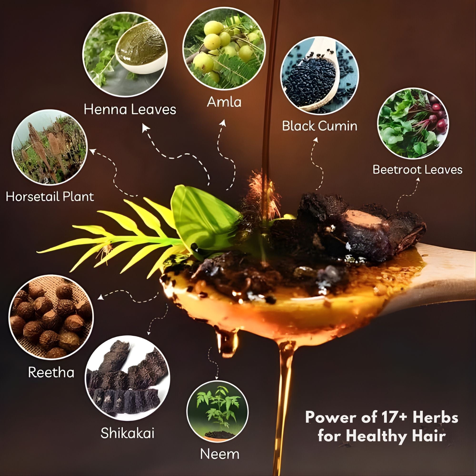 Revlé Organic Shampoo  | Macadamia & Botanical Extracts for Silky, Smooth & Strong Hair - 400ml