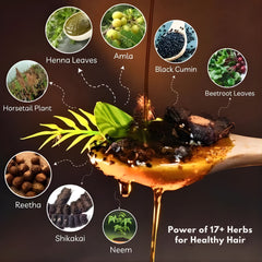 Revlé Organic Shampoo  | Macadamia & Botanical Extracts for Silky, Smooth & Strong Hair - 400ml